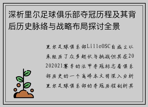 深析里尔足球俱乐部夺冠历程及其背后历史脉络与战略布局探讨全景