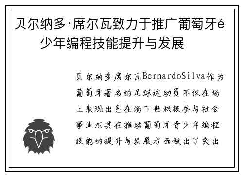 贝尔纳多·席尔瓦致力于推广葡萄牙青少年编程技能提升与发展