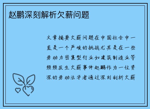 赵鹏深刻解析欠薪问题